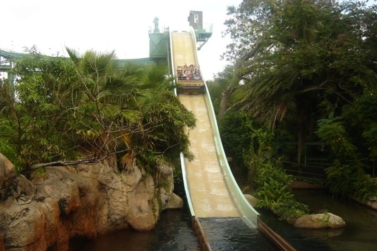 Busch Gardens Tampa Bay visite : immersion dans la logistique