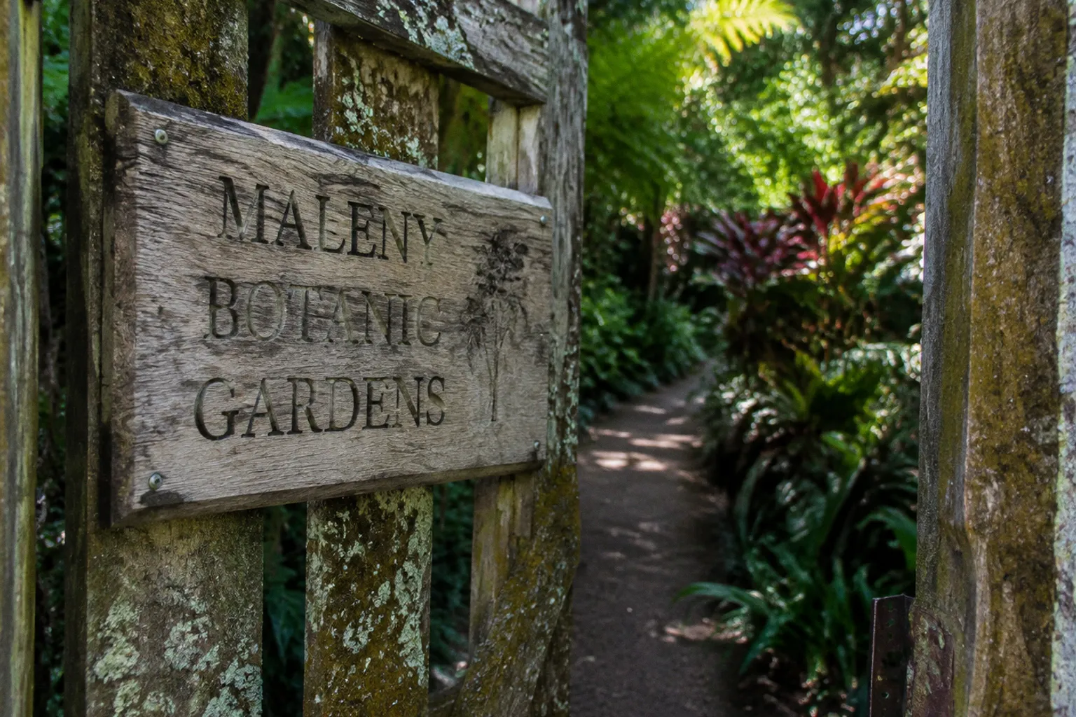 Jardins botaniques de Maleny : la visite de Lucas