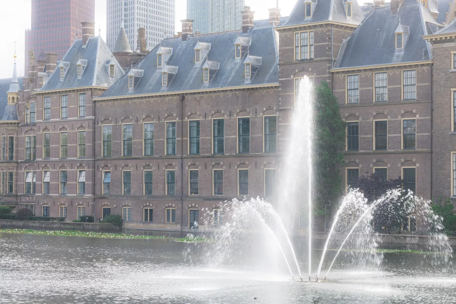 Mauritshuis visite : faut-il sacrifier une journée pour Vermeer ?