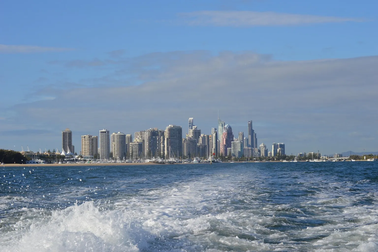 Observation des baleines à Gold Coast : le vrai coût
