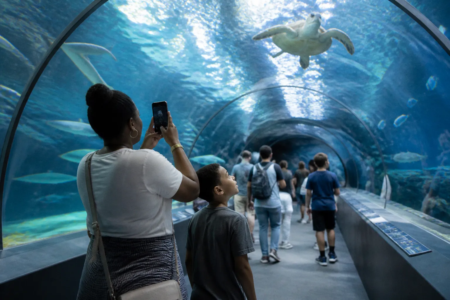SEA LIFE Charlotte-Concord visite : le dilemme de Lucas