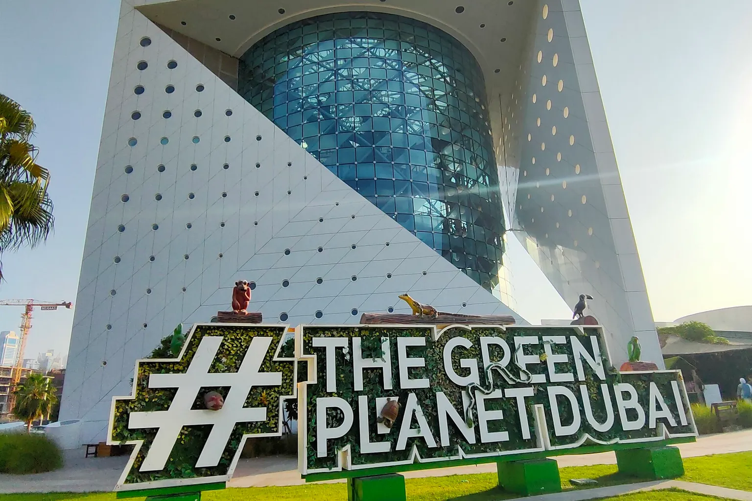 The Green Planet horaires : pourquoi ce cycle de 10h à 18h ?