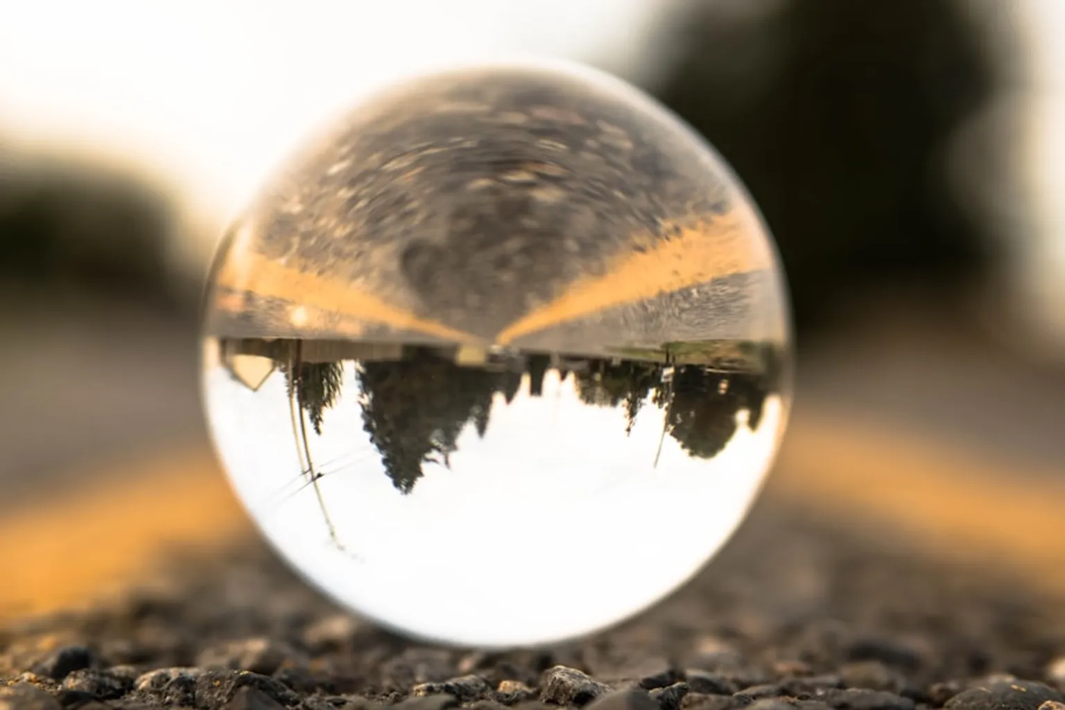 The Upside Down tarifs : mon retour d'expérience