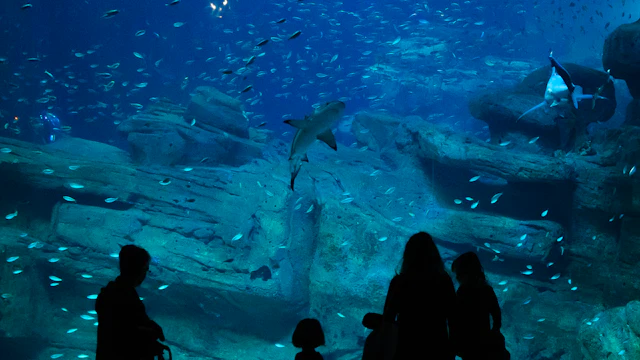Aquarium de Paris