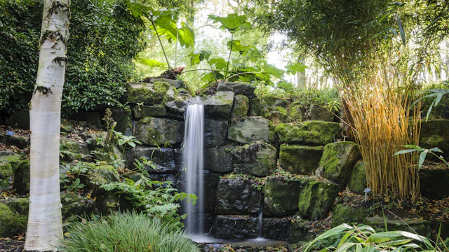 Jardin RHS de Rosemoor
