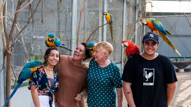 Jardins botaniques de Maleny & Bird World