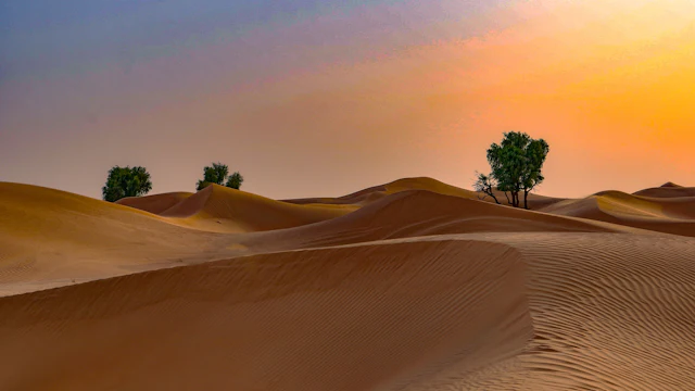 safari dans le désert à Dubaï