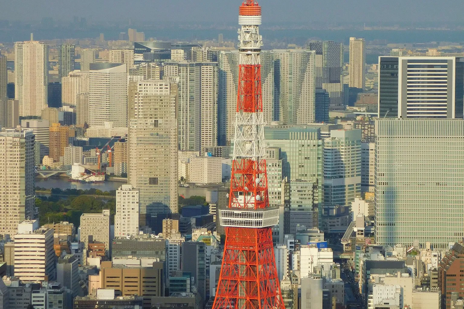 Tour de Tokyo : comment Julien a réservé ses billets